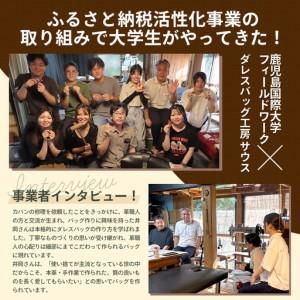 ふるさと納税 【 職人仕立て 】 ブライドルレザー ミニダレスバッグ 6色から 選べる カラー BA7405 ｜ブライドルレザー ダレスバッグ ビジネ.. 鹿児島県南大隅町の画像