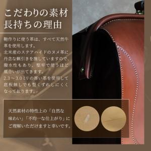 ふるさと納税 【 職人仕立て 】 ダレスバッグ 1つ仕切りタイプ 6色から 選べる カラー BA7407｜ダレスバッグ ビジネスバッグ 職人 手作り 黒.. 鹿児島県南大隅町の画像