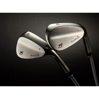 ふるさと納税 TJ Star 1[2本セット(ロフト角52度・56度)]220BA10N./ウェッジ ゴルフ ゴルフクラブ 軟鉄鍛造 TAKUMI JAPAN 兵庫県市川町