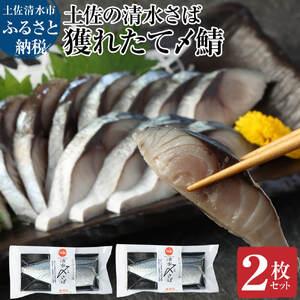 ふるさと納税 獲れたて土佐の清水さば 〆鯖2枚セット[R00278] 高知県土佐清水市