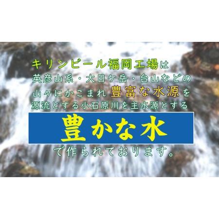 ふるさと納税 キリン ビール ハートランドビール 500ml 中瓶 12本箱入 福岡県朝倉市｜furunavi｜03