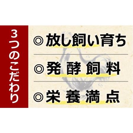 ふるさと納税 海賊卵【烏骨鶏卵】12個[VB01500] 愛媛県今治市の画像