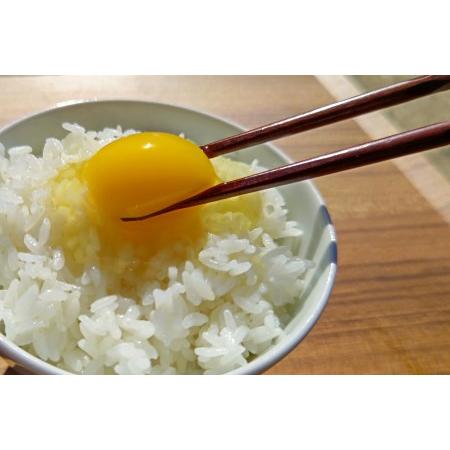 ふるさと納税 海賊卵【烏骨鶏卵】12個×６回【６か月定期便】[VE00840] 愛媛県今治市の画像