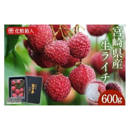 ふるさと納税 [先行予約][宮崎県産ライチ600g]2026年7月中に順次出荷[c644_mk_x6] 宮崎県高鍋町