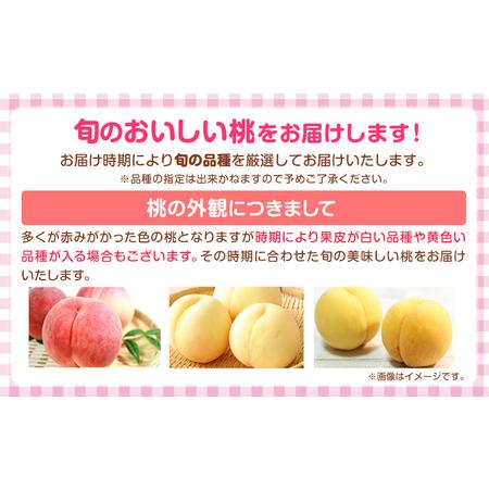 ふるさと納税 【先行予約】【贈答用/熨斗非対応】 秀品 和歌山の桃 約2kg (6玉~8玉) m\u0026n果実園 【配送不可地域あり】 《6月中旬-7月下旬.. 和歌山県紀の川市の画像