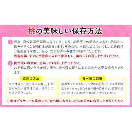 ふるさと納税 【先行予約】【贈答用/熨斗非対応】 秀品 和歌山の桃 約2kg (6玉~8玉) m\u0026n果実園 【配送不可地域あり】 《6月中旬-7月下旬.. 和歌山県紀の川市の画像