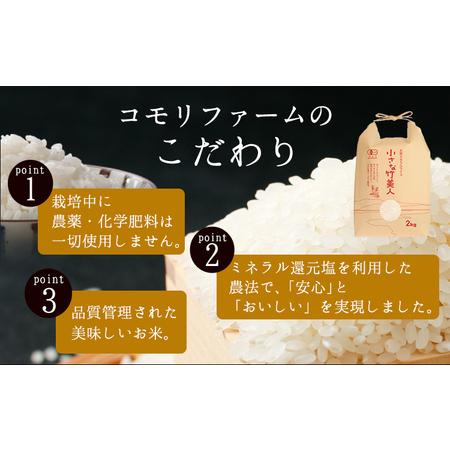 ふるさと納税 【6か月定期便】令和5年産 小さな竹美人 玄米 4kg(2kg×2袋) 株式会社コモリファーム《お申込み月の翌月から出荷開始》 福岡県小竹町｜furunavi｜04