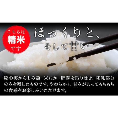 ふるさと納税 【有機JAS認定米】令和5年産 小さな竹美人 5分づき 米 4kg(2kg×2袋) 株式会社コモリファーム《30日以内に出荷予定(土日祝除く.. 福岡県小竹町｜furunavi｜05