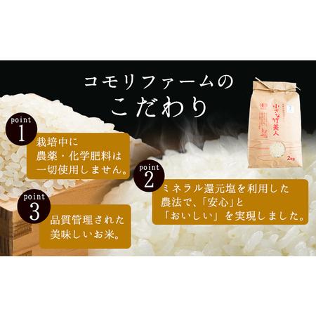 ふるさと納税 令和5年産 小さな竹美人 7分づき 米 4kg(2kg×2袋) 株式会社コモリファーム《30日以内に出荷予定(土日祝除く)》 福岡県小竹町｜furunavi｜04