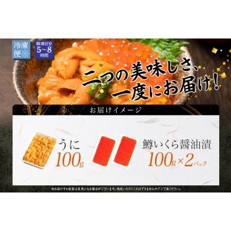 ふるさと納税 3619. 雲丹 100g 鱒いくら醤油漬け 100g×2個 うに ウニ チリ産 冷凍 いくら イクラ ます マス いくら醤油 お取り寄せ 魚卵 .. 北海道弟子屈町の画像