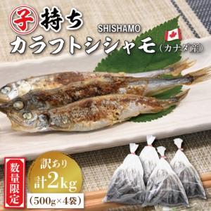ふるさと納税 [数量限定!] 子持ち カラフトシシャモ 2kg (500g×4袋) 訳アリ シシャモ ししゃも カラフトししゃも 大洗 規格外 訳あり .. 茨城県大洗町