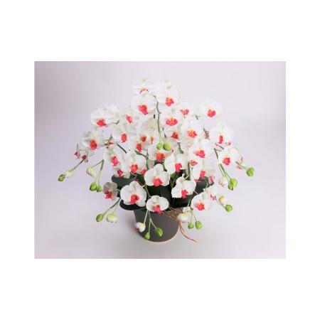ふるさと納税 綺麗で丈夫な三河陶器で贈る光触媒胡蝶蘭小輪５本立（ブラウンの陶器×白色の花） H100-089 愛知県碧南市の画像