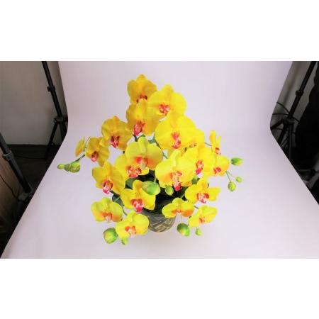 ふるさと納税 綺麗で丈夫な三河陶器で贈る光触媒胡蝶蘭大輪３本立（緑の陶器×黄色の花） H100-093 愛知県碧南市の画像