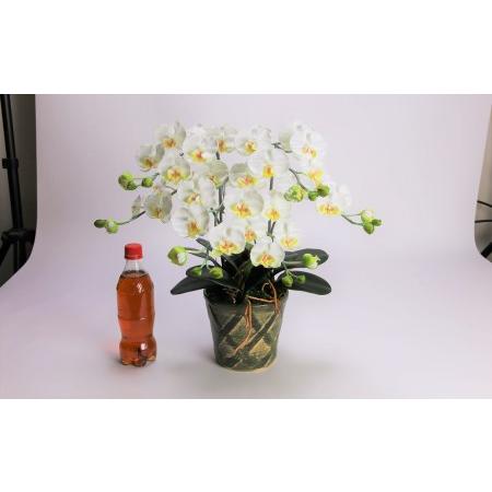 ふるさと納税 綺麗で丈夫な三河陶器で贈る光触媒胡蝶蘭小輪３本立（グリーンの陶器×白色の花） H100-088 愛知県碧南市_1