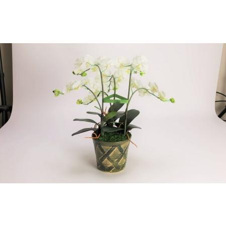 ふるさと納税 綺麗で丈夫な三河陶器で贈る光触媒胡蝶蘭小輪３本立（グリーンの陶器×白色の花） H100-088 愛知県碧南市_2