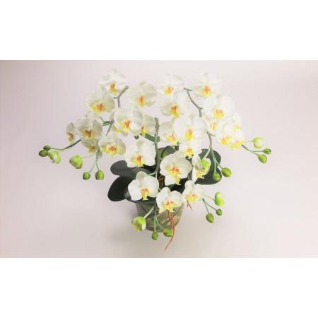 ふるさと納税 綺麗で丈夫な三河陶器で贈る光触媒胡蝶蘭小輪３本立（グリーンの陶器×白色の花） H100-088 愛知県碧南市_3