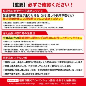 ふるさと納税 No.2628春色のおひなお父ちゃん・SAKURA咲く ナインディー nine-D 福島県福島市