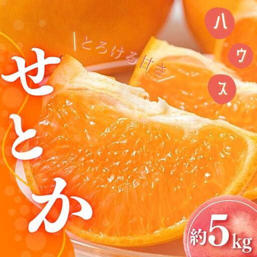 ふるさと納税 せとか 橋本農園のハウスせとか 5kg[mht001A] 三重県紀宝町