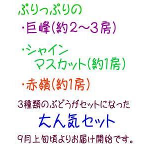 非常に高い品質 ふるさと納税 農家直送 ３色ぶどう詰め合わせ大人気セット 約２ｋｇ【先行予約】 和歌山県有田川町