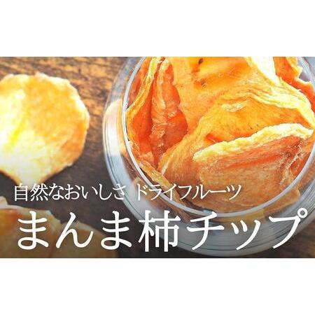 ふるさと納税 ドライフルーツ 柿チップ 800g ( 40g × 20袋 ) 和歌山県産 果物使用 自社製造 【みかんの会】 和歌山県有田川町 | 