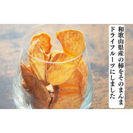 ふるさと納税 ドライフルーツ 柿チップ 800g ( 40g × 20袋 ) 和歌山県産 果物使用 自社製造 【みかんの会】 和歌山県有田川町 |  | 01