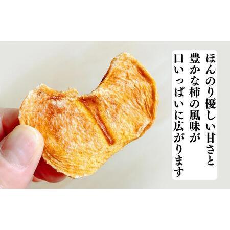 ふるさと納税 ドライフルーツ 柿チップ 800g ( 40g × 20袋 ) 和歌山県産 果物使用 自社製造 【みかんの会】 和歌山県有田川町 |  | 03