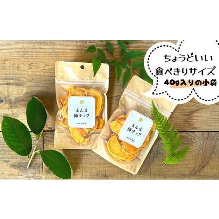 ふるさと納税 ドライフルーツ 柿チップ 800g ( 40g × 20袋 ) 和歌山県産 果物使用 自社製造 【みかんの会】 和歌山県有田川町 |  | 04