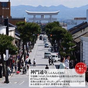 匿名配送 ふるさと納税 出雲大社　お宿　月夜のうさぎ　宿泊券（２名一室　１泊２食付き【夕食・朝食バイキング】）【T-049】 島根県出雲市 【T2214876760】(78000円)