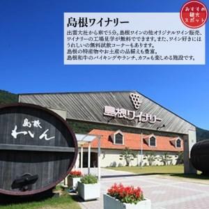 匿名配送 ふるさと納税 出雲大社　お宿　月夜のうさぎ　宿泊券（２名一室　１泊２食付き【夕食・朝食バイキング】）【T-049】 島根県出雲市 【T2214876760】(78000円)