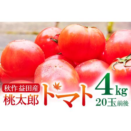 ふるさと納税 A-991 [秋作]朝採れトマト4kg(20玉前後) 島根県益田市