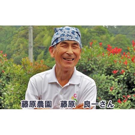 ふるさと納税 里地・里山のめぐみ 純粋ハチミツ（レンゲ） 1kg ＜数量限定＞ 鳥取県南部町_1