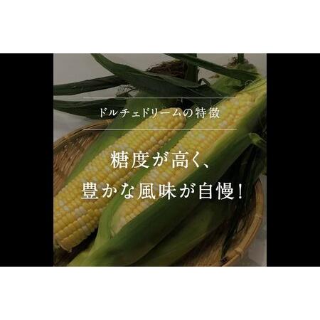 ふるさと納税 南部町産 朝採れスイートコーン5kg箱 食べくらべセット（ドルチェドリーム・ホワイトショコラ）＜数量限定＞ 鳥取県南部町｜furunavi｜03