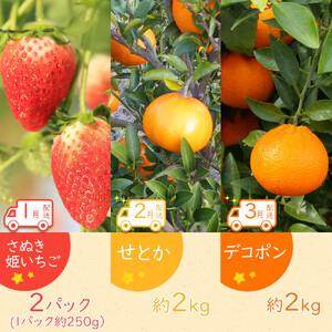 ふるさと納税 【全12回】坂出市四季のオススメ！旬果実単品定期便♪ 香川県坂出市_1