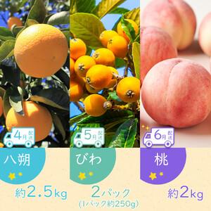 ふるさと納税 【全12回】坂出市四季のオススメ！旬果実単品定期便♪ 香川県坂出市_2