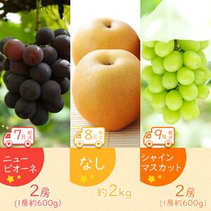ふるさと納税 【全12回】坂出市四季のオススメ！旬果実単品定期便♪ 香川県坂出市_3