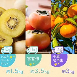 ふるさと納税 【全12回】坂出市四季のオススメ！旬果実単品定期便♪ 香川県坂出市_4