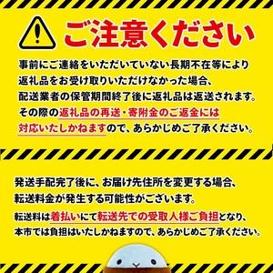 ふるさと納税 C3-22119／【3回定期】財宝のおいしい お茶 500ml×24本×2箱 鹿児島県垂水市の画像