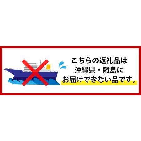 【まとめ売り】 ふるさと納税 赤倉観光ホテルペア本館ツイン宿泊券【平日限定】新潟県妙高市※沖縄県・離島配送不可 新潟県妙高市 【OCQ3373420897】(118800円)