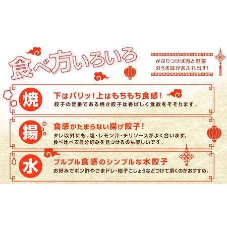 ふるさと納税 ＜たかなべギョーザ 80個（20個入×4袋）＞2か月以内に出荷します【TVで話題沸騰！】【c866_tk_x2】 宮崎県高鍋町の画像