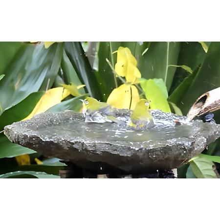ふるさと納税 野鳥 来待石製バードバス(小型) 島根県松江市/来待石灯ろう協同組合[ALAN007] 野鳥 野鳥 島根県松江市_3