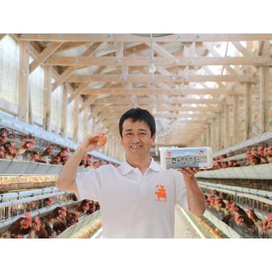 ふるさと納税 さかもとのたまご「ご来店お持ち帰り用券」合計300個 (10個×30パック)｜坂本養鶏 大山の麓で育ったさかもとのたまご 赤玉.. 神奈川県伊勢原市 さかもとのたまご