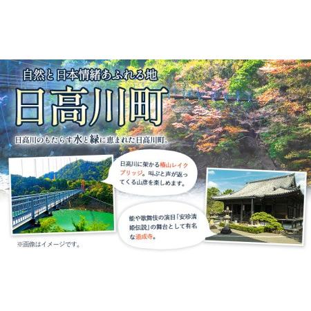 ふるさと納税  日高川町内の観光施設で利用できる「利用券」3,000円(500円券×6枚)　株式会社フラット・フィールド・オペレーションズ .. 和歌山県日高川町｜furunavi｜02