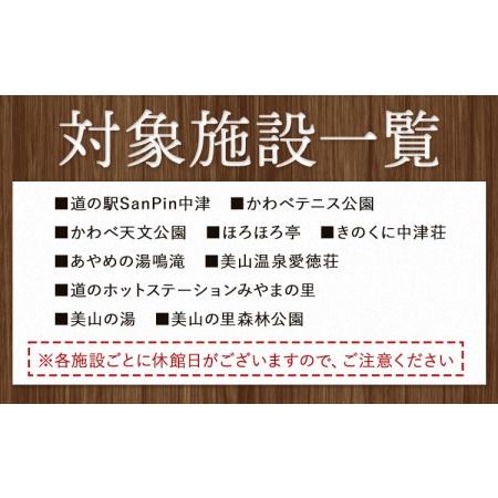 ふるさと納税 日高川町内の観光施設で利用できる「利用券」9,000円(500円券×18枚)　株式会社フラット・フィールド・オペレーションズ .. 和歌山県日高川町｜furunavi｜04