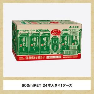 ふるさと納税 【6ヶ月定期便】伊藤園 お〜い茶の葉 濃い茶 600ml×24本 PET【 飲み料 飲み料茶の葉 清涼飲料水茶の葉 茶の葉 ペットボトル茶の葉 備.. 宮崎県川南町