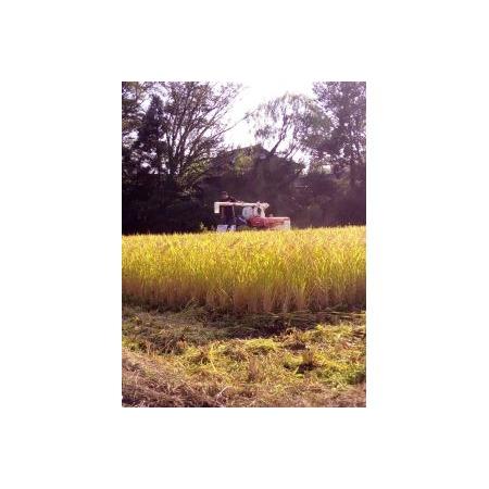 ふるさと納税 高島農場の農薬不使用ササニシキ10kg玄米 新潟県佐渡市 