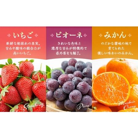 ふるさと納税 フルーツ定期便  6回 丸亀讃美果セット 旬のフルーツ 果物 定期便 香川県丸亀市_4