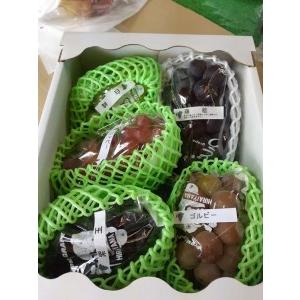 ふるさと納税 [2026年先行受付]エコファーマー生産!旬のぶどうの詰合せ3kg[北海道・沖縄・離島 配送不可] 兵庫県三木市