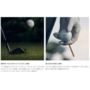 ふるさと納税 [ゴルフボール] タイトリスト PRO V1 ローナンバー ホワイト もとまるプリント 1ダース(12球) [0919] 岐阜県本巣市 12球 E1158961151(11500円)