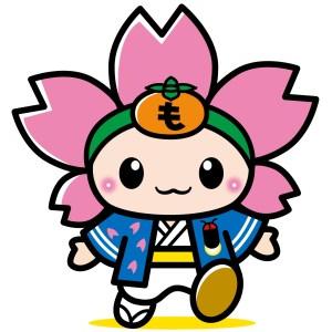 ふるさと納税 [ゴルフボール] タイトリスト PRO V1 ローナンバー ホワイト もとまるプリント 1ダース(12球) [0919] 岐阜県本巣市 12球 E1158961151(11500円)