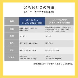 ふるさと納税 真岡市産 バナナ 真岡市 栃木県 栃木県真岡市｜furunavi｜05